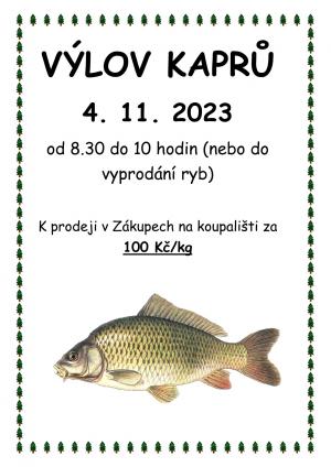 Výlov kaprů 1